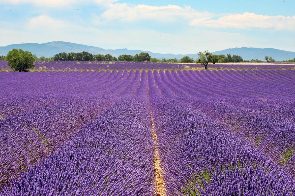 Roulotte Bohemian Lover In Provence, 발랑솔 외부 사진